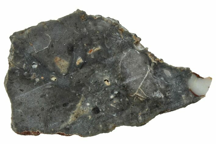 NWA Lunar Meteorite ( g) Slice #307462